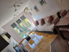 Studio apartman Zvezdana Noć